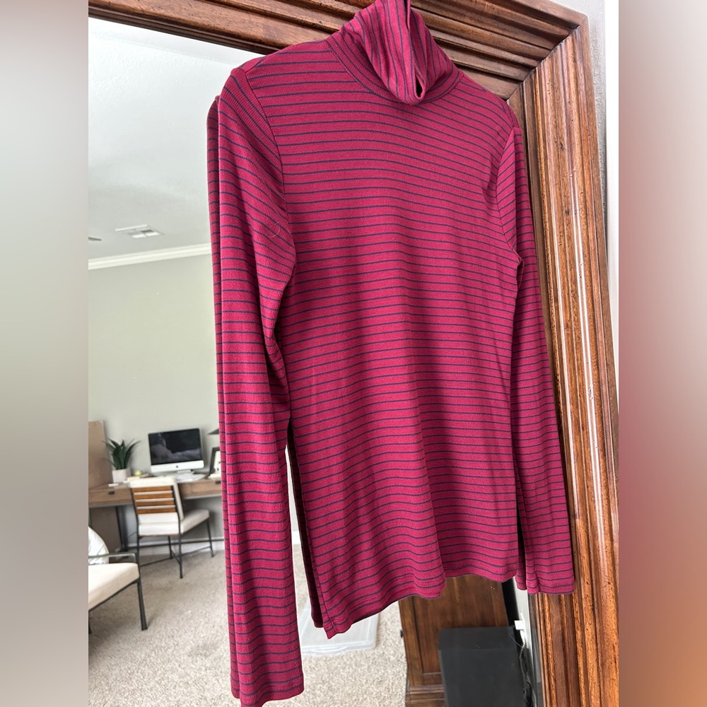 GAP turtleneck, thin sweater, burgundy and navy stripes, never worn, size medium